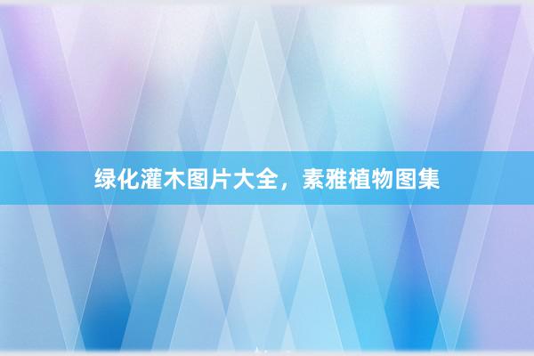 绿化灌木图片大全，素雅植物图集