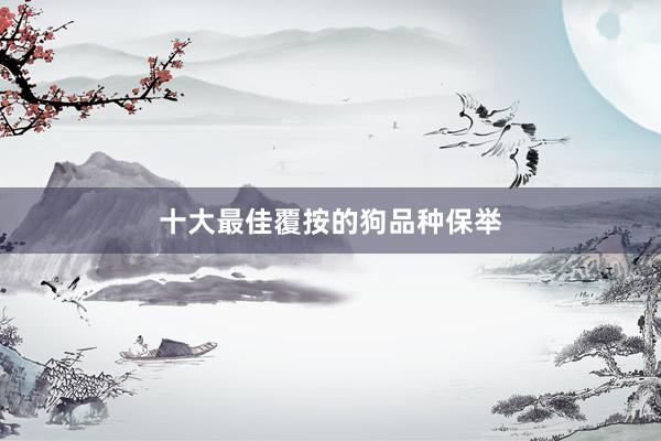 十大最佳覆按的狗品种保举