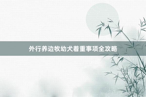 外行养边牧幼犬着重事项全攻略