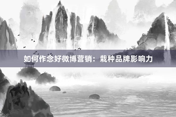 如何作念好微博营销：栽种品牌影响力